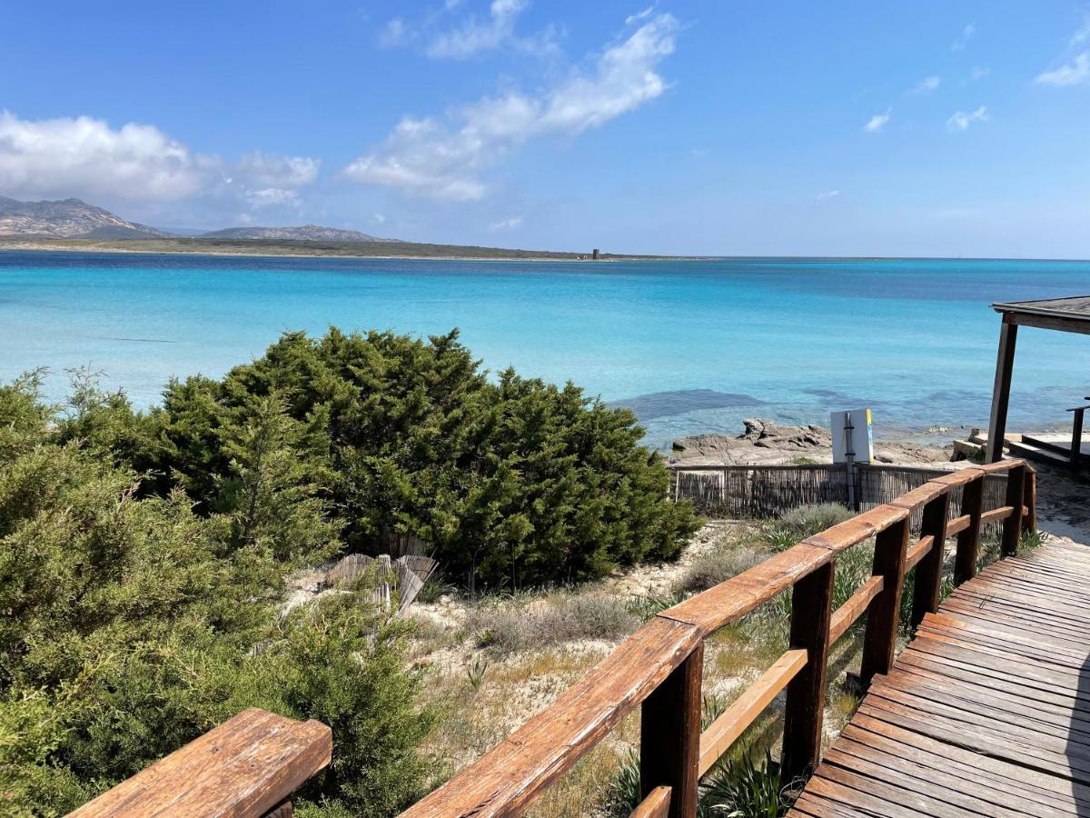 I Pescatori Di Stelle-L12 Altair Villa Stintino Exterior photo